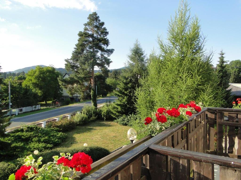 Villa Zerotin Penzion Bed & Breakfast Velké Losiny Kültér fotó