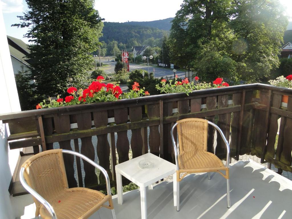 Villa Zerotin Penzion Bed & Breakfast Velké Losiny Kültér fotó
